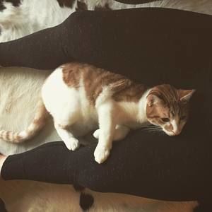 Meet your Posher, Jana